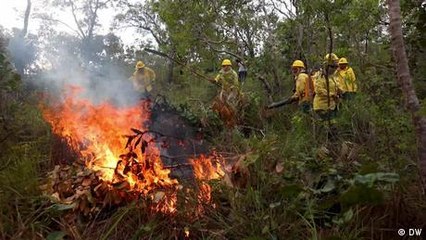 Indigenous women fighting fires in the Amazon