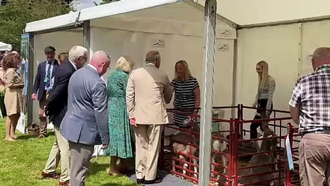 King Charles meets some goats