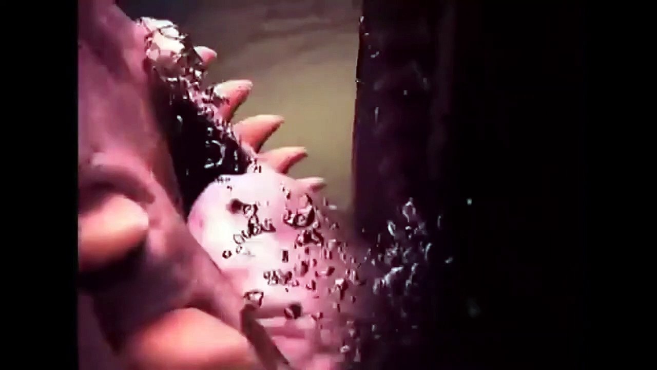 Killer whales attack the great whales and seals - Attack of marine animals