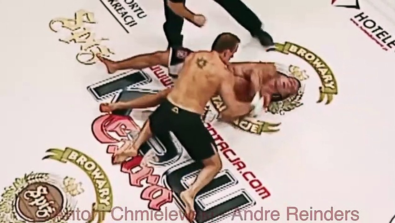 Top 30 Hardest knockouts MMA and Combat sports