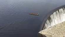 The mother loses her baby