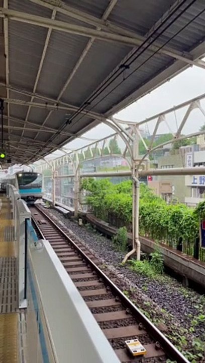 Train travel video 