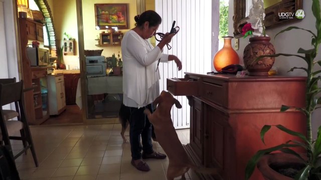 En los últimos 20 años, familia en Guadalajara rescata a siete perros de la calle