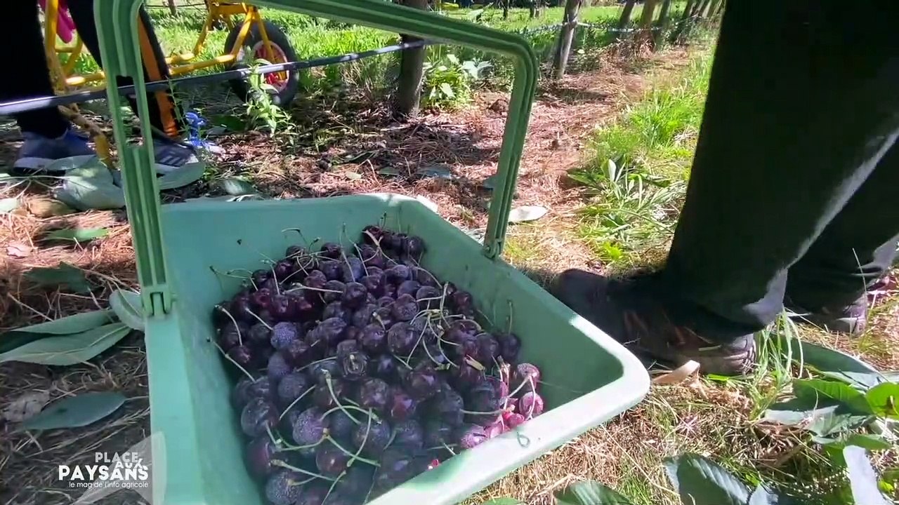 Gestion de l'eau dans les exploitations agricoles