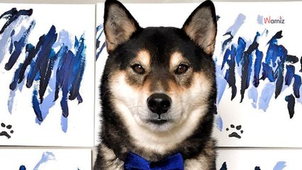 Shiba Inu grabs a paint brush, owners are impressed by the beautiful art he creates