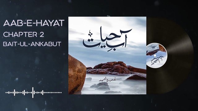 036. Waseem ka Salar say Imama say milnay par israr - Aab e Hayat Novel Episode 36