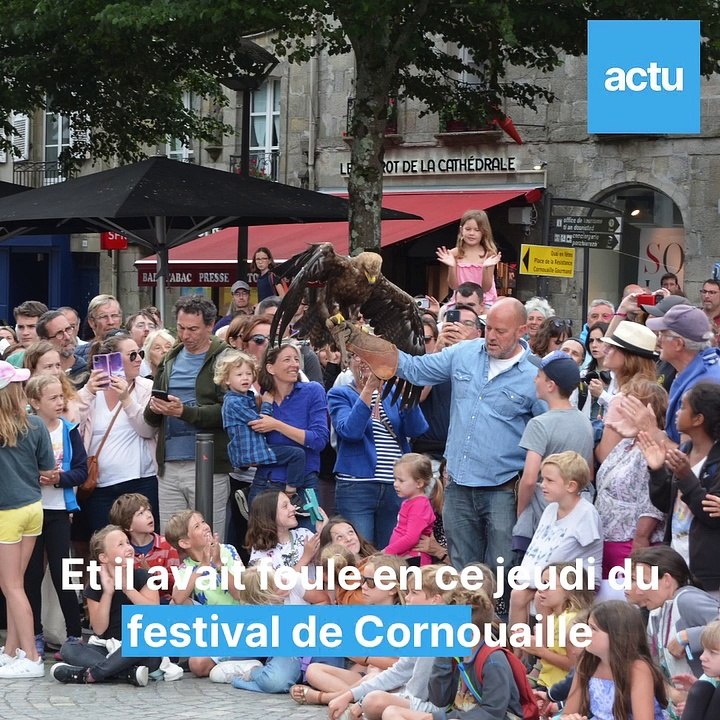 vols-des-oiseaux-de-ciels-de-legendes-a-quimper (1)