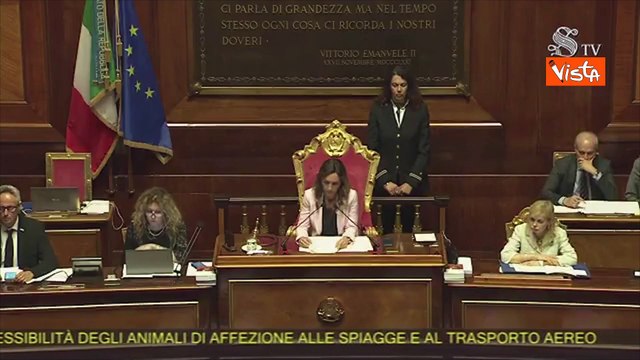 Salvini: Fino a revoca patente per chi abbandona animali in strada