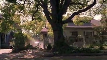 Ritorno al futuro 2 - Grande almanacco sposrtivo