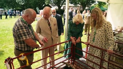 Three sheers for King and Queen at agricultural show