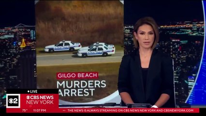 What we know about Gilgo Beach murders suspect Rex Heuermann