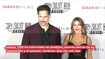 ¿Joe Manganiello pidió el divorcio a Sofía Vergara porque no quiere hijos?