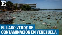 El lago verde de contaminación en Venezuela