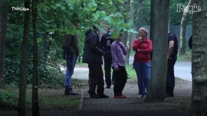 Lion On the Loose Near Berlin, Germany Forces Police to Ask Residents to Stay in Homes