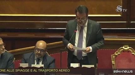 Salvini: "Revoca o sospensione della patente per chi abbandona gli animali"