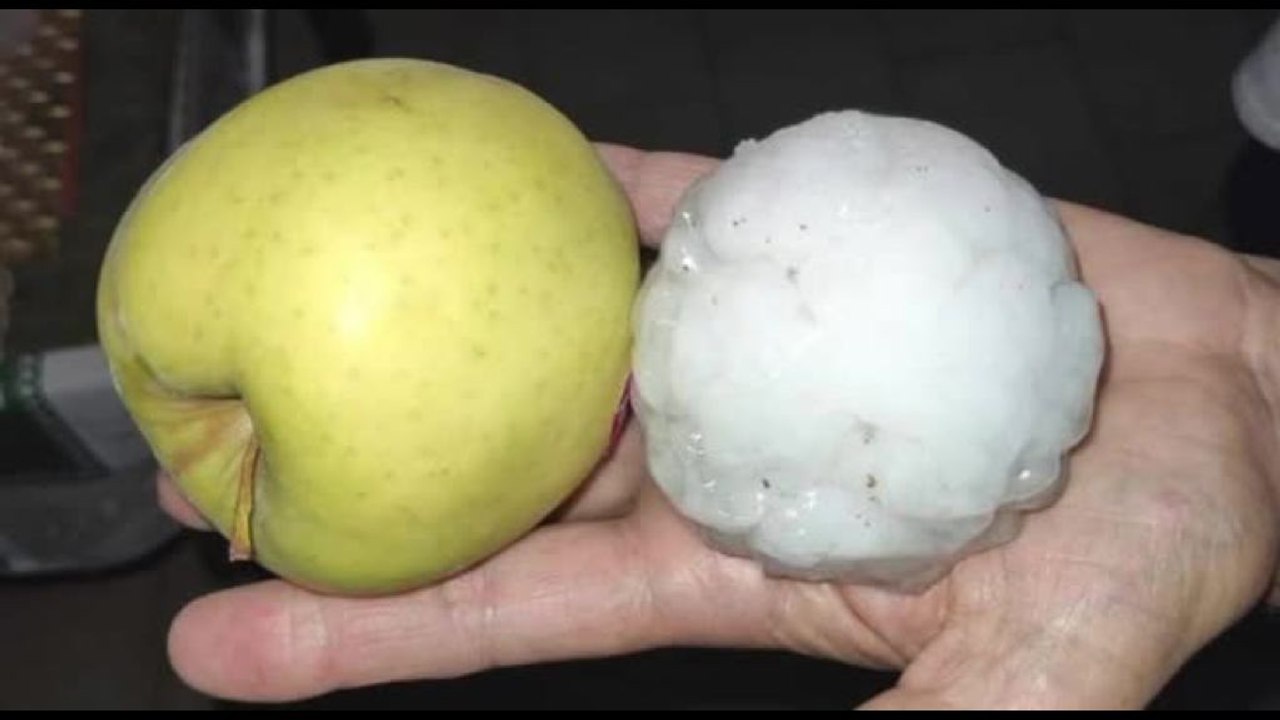 In Veneto grandinata record con chicchi grossi come mele