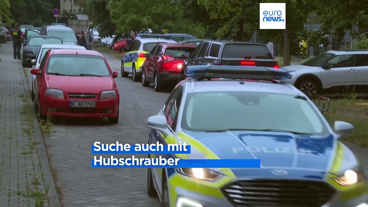 Wo ist die Raubkatze? Löwin macht Brandenburg und Berlin unsicher