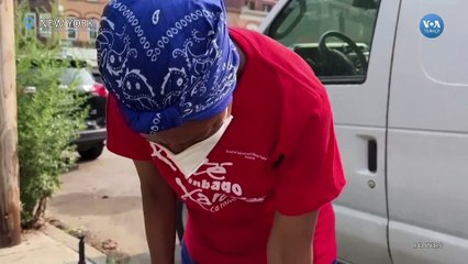 New York’ta sokak kedilerinin nüfusu artıyor