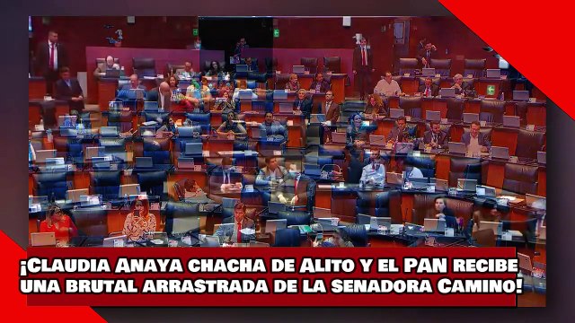 ¡VEAN! ¡Claudia Anaya, la chacha de Alito y el PAN, recibe brutal arrastrada de la senadora Camino!