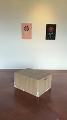 L'opera d'arte delle galline al Forte Belvedere