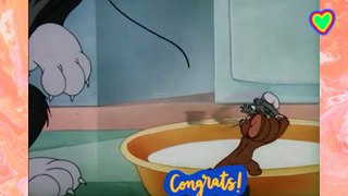Tom and Jerry | Tom | Jarry | kids video | kids Tom | kids Jarry | funny video | cartoon video | video for kids