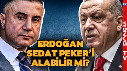 Erdoğan BAE'den Sedat Peker'i Alabilir mi? Ersan Şen Tüm Detayları Anlattı