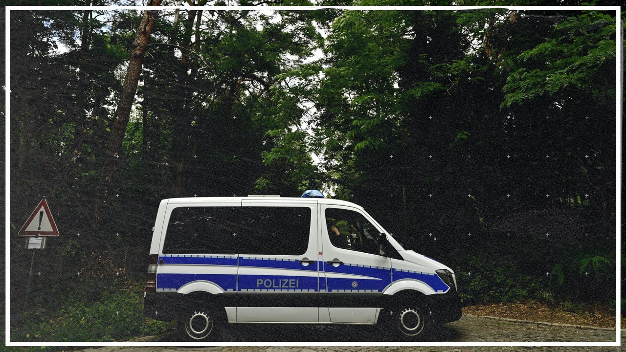 Suche nach Löwin in Berlin geht mit Drohnen und Wärmebildkameras weiter