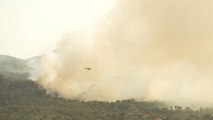 تجدد حرائق الغابات بغرب إقليم أتيكا اليوناني
