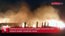 Çatalca'da korkutan yangın! Ekiplerin müdahalesi sürüyor