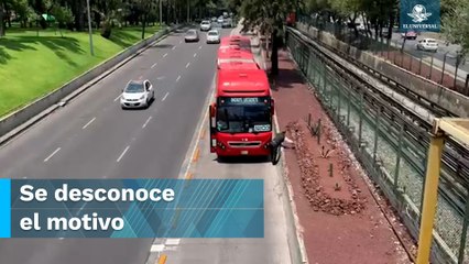 ¡Qué misterio!, ¿Conductor de Metrobús baja por piedras?