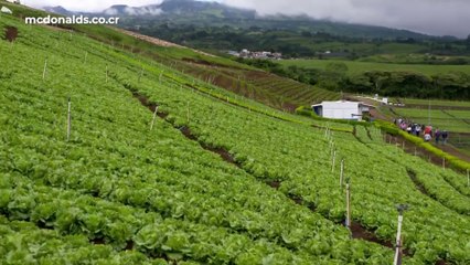 tn7-publireportaje-mc-donalds-200723