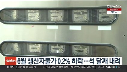6월 생산자물가 0.2% 하락…석 달째 내려