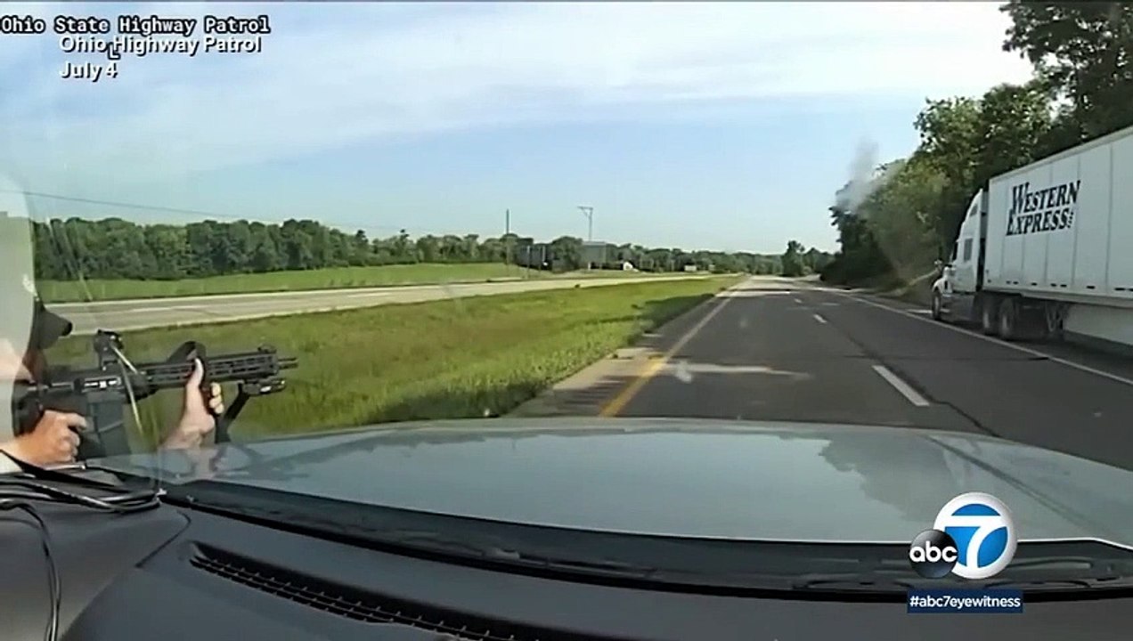 Bien que le conducteur noir ait levé les mains et se soit rendu, le chien que la police a lâché sur lui lui a mordu les bras et l'a blessé.