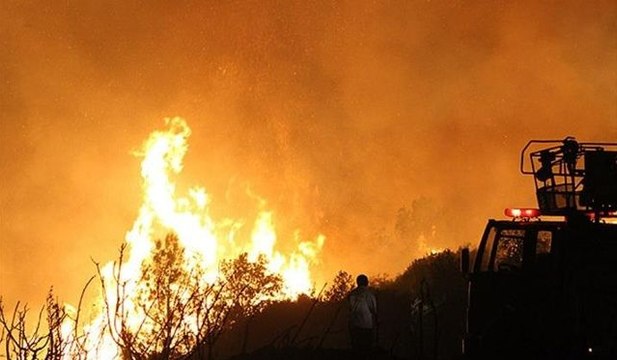 Alanya'da yangın son durum nedir? Alanya'da yangın söndürüldü mü? Alanya'da yangın nerede çıktı?