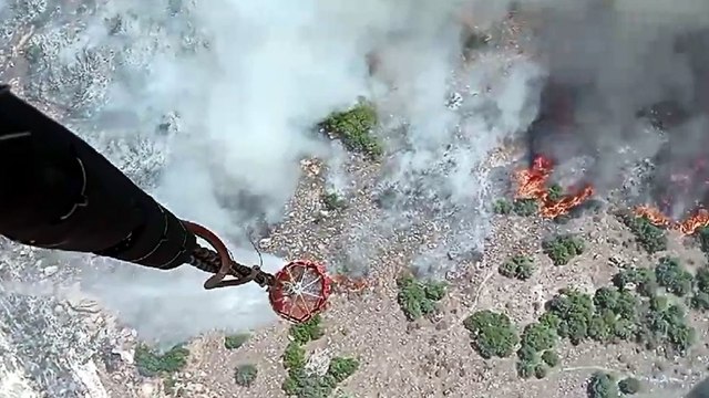 Manisa’da orman yangını