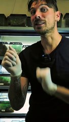 Il Fait Semblant d'Être Mort : Découvrez la Thanatose en Action 🧟‍♂️