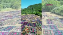 Antalya Döşemealtı'ndaki görsel şölen görenleri hayran bırakıyor! Rengarenk halı ve kilim tarlası...