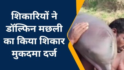 कौशाम्बीः शिकारियों ने डॉल्फिन मछली का किया शिकार,पुलिस कर रही आरोपियों की तलाश