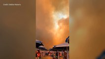 Tourists await evacuation from Kiotari beach, Rhodes, amid wildfires