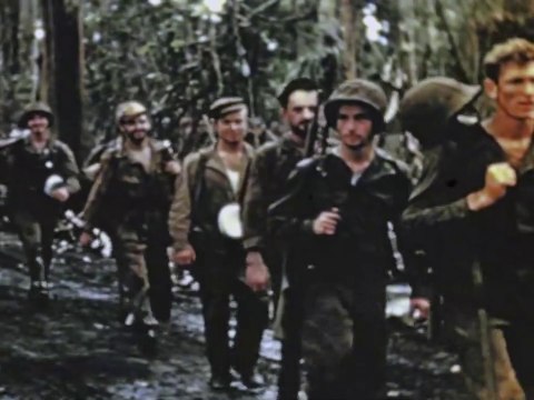 The 7th Marines at Hill 660 mopping up operations, Cape Gloucester 1944