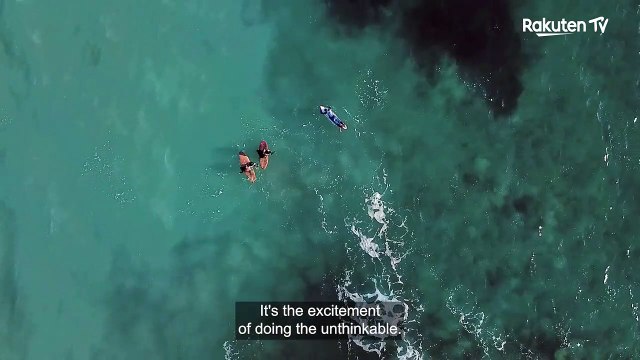 265 Days Without Waves Bande-annonce VO