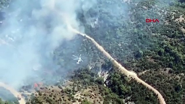 Feu de forêt à Manisa Saruhanlı