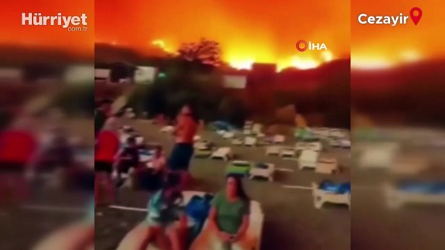 Cezayir’de orman yangını: 15 ölü... 16 eyalette bin 500 kişi tahliye edildi