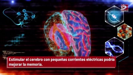 Aplicar electricidad al cerebro podría mejorar la memoria