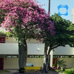 ESCÁNDALO EN EL COLEGIO ALEMÁN