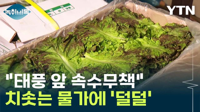 상추 리필하면 사장님 피눈물 ...폭우·폭염에 채솟값 '직격탄' [Y녹취록] / YTN