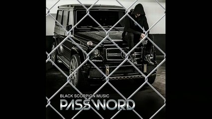 Black Scorpion Music - Password (Ali Afshar) - بلک اسکورپیون موزیک