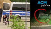 Escaped lion on the loose in Berlin as people warned it could 'attack anyone'