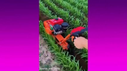 Satisfying Video Clips That Bring Inner Peace