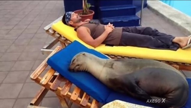 Funny Fail BEACH Compilation Right Moment Beach Pics 2015 #2